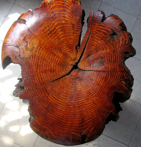 RBSA Sculpture Trail